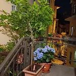 La Terrazzina, Silenzioso, Zona Piazza Gran Madre Turin