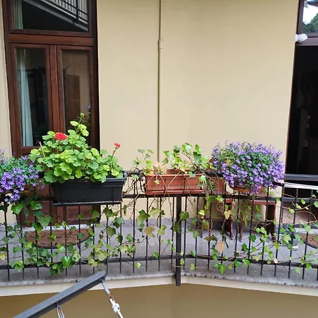 La Terrazzina, Silenzioso, Zona Piazza Gran Madre *