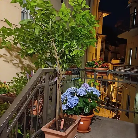 La Terrazzina, Silenzioso, Zona Piazza Gran Madre Turin