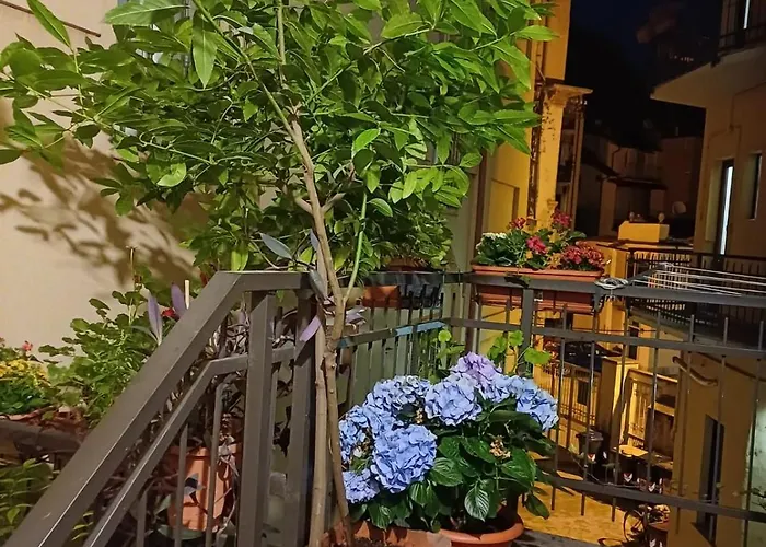 La Terrazzina, Silenzioso, Zona Piazza Gran Madre Turín